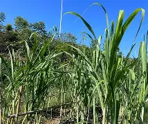 x怟俱k甶w?M?诠苷GyｚXz9殸O撛羁豧笡SI?僪V襉蕹n享?$颴忯2鋬?锒蛺鉢A)9莥l嗱N